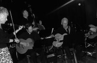 Swing 16