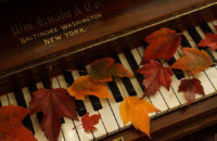 autumn-piano-14-mick-anderson Autumn courses and workshops