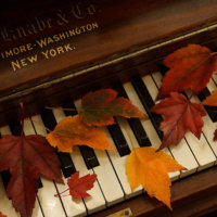 autumn-piano-14-mick-anderson Autumn courses and workshops